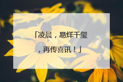 凌晨，易烊千玺，再传喜讯！